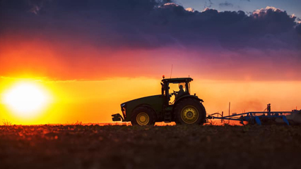 florida-farm-to-you-gridview