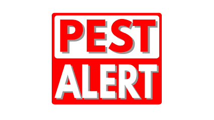 pest-alert-gridview