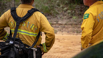 qualifications-for-florida-wildland-firefighters-gridview