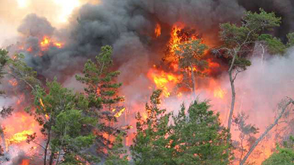 volunteer-fire-assistance-grants-gridview