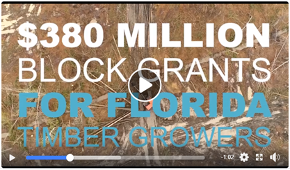 pr-11082019-fried-380million-grants