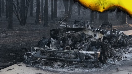 Report-Arson-GridView