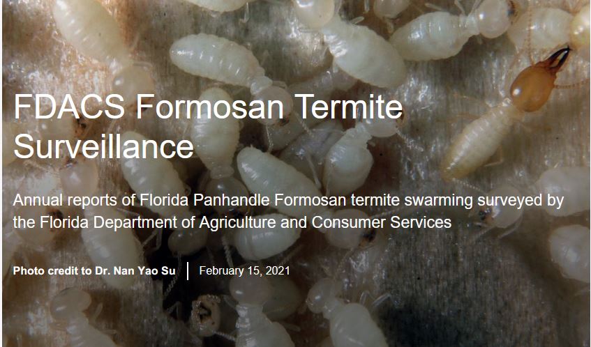 formosan-termite-storymap