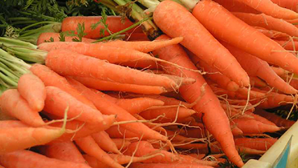 fruit-and-vegetables-gridview