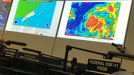 food-emergencies-gridview