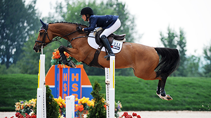 horse-jumping-gridview