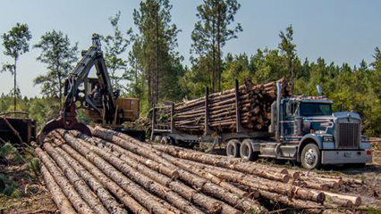 marketing-your-timber-gridview