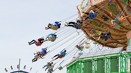 fair-rides-inspection-gridview