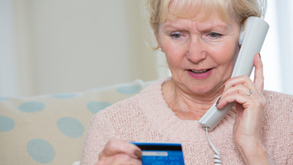 telemarketing-fraud-gridview