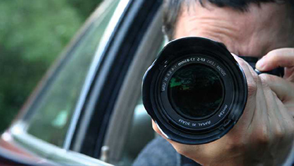private-investigation-licenses-gridview