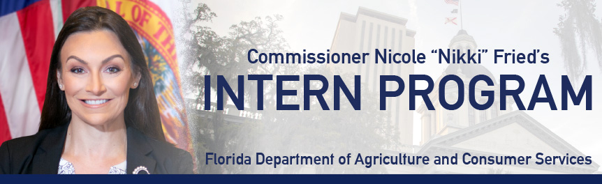 Intern Program