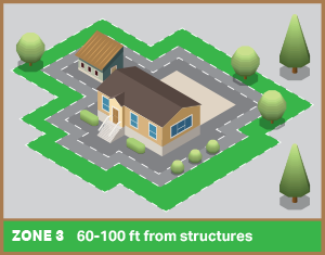 Zone-3-Transition-Zone
