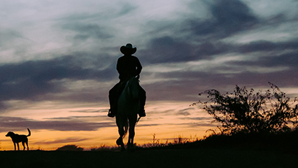 young-farmers-ranchers-gridview
