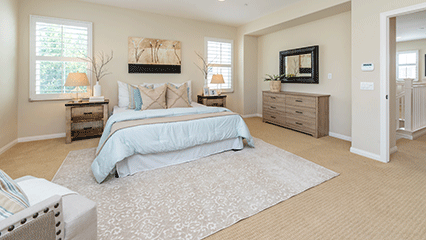 bed-bugs-gridview