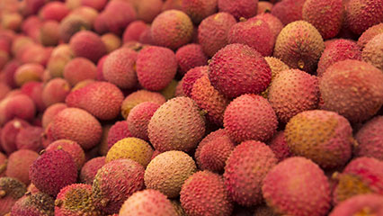 lychee-mite-gridview