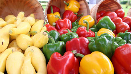 community-farmers-markets-gridview