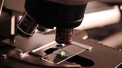 plant-permits-for-research-and-education-gridview