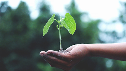 benefits-of-gardening-gridview