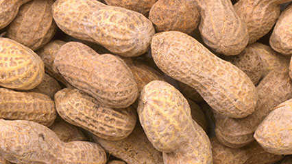 peanut-marketing-order-gridview