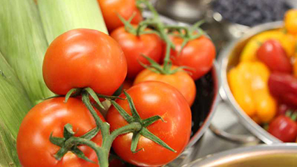 food-nutrition-and-wellness-grants-gridview