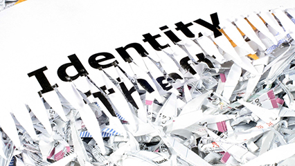 identity-theft-safe-gridview