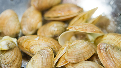 seafood-retail-gridview