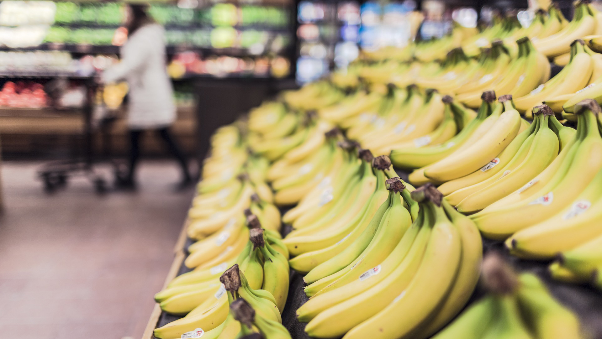 food-establishment-inspection-reports-gridview