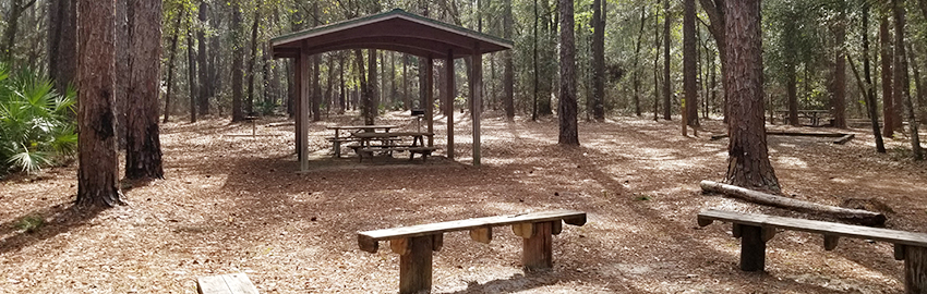 hammock-campground