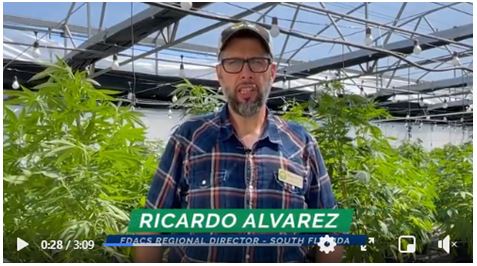 bilingual-hemp-education-video-thumbnail.JPG