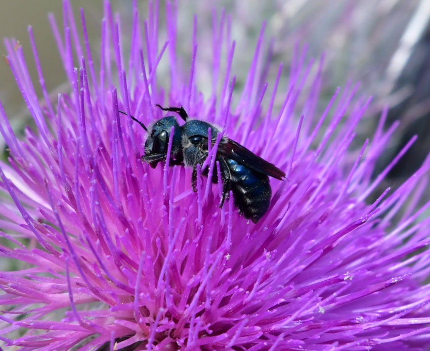 spring-2021-nature-winner