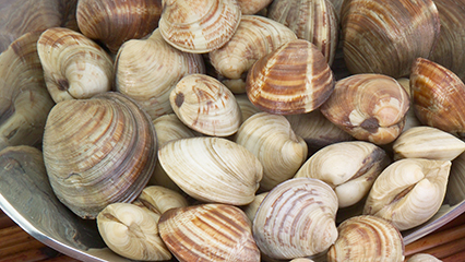 shellfish-gridview