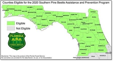 000-Southern Pine Beetle Press Release
