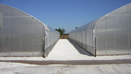 approved-structures-gridview