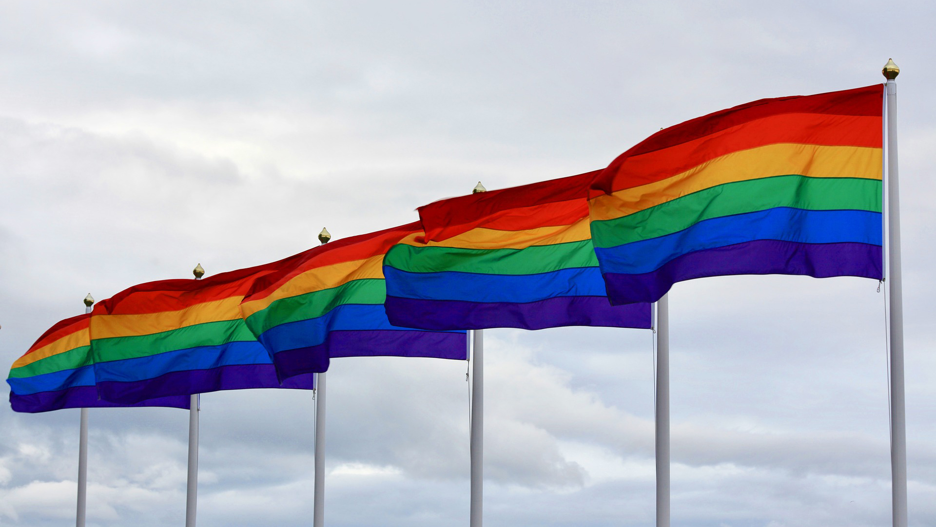 lgbtq-gridview