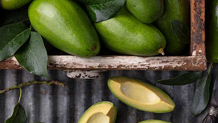 save-the-guac-gridview