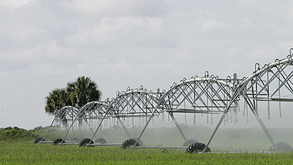 ag-water-policy-main-page-gridview