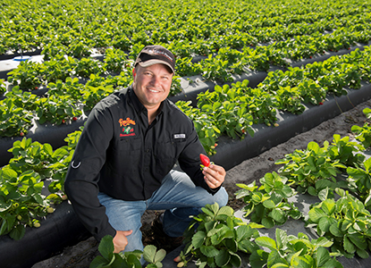 dustin-grooms-in-strawberry-field