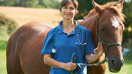 veterinarians-gridview