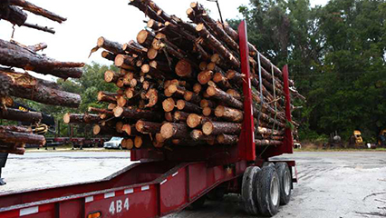 wood-using-mills-gridview