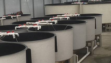 aquaculture-best-management-practices-gridview