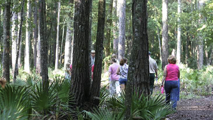 stewardship-educational-programs-gridview