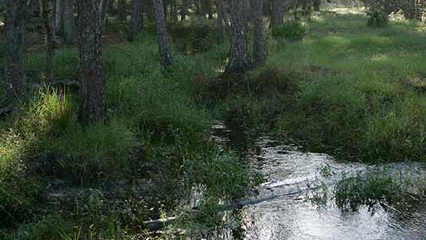 water-gridview