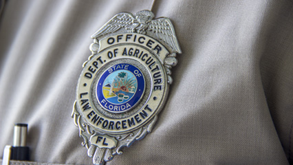 law-enforcement-applicant-gridview