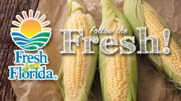 Sweet Corn: Fresh From Florida, Follow the Fresh!
