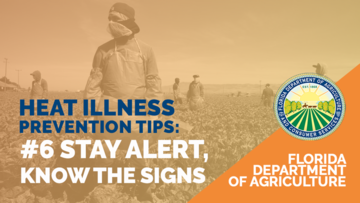 HeatIllness-Stay-Alert