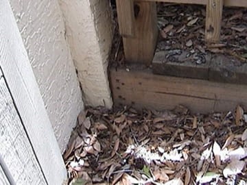 wood-in-contact-with-the-ground