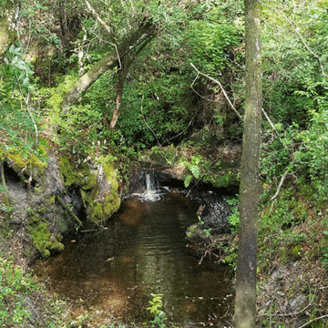 pioneer-trail-waterfall