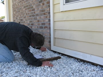 inspection
