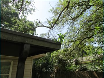 gutters