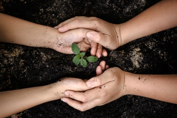 The Benefits of Gardening